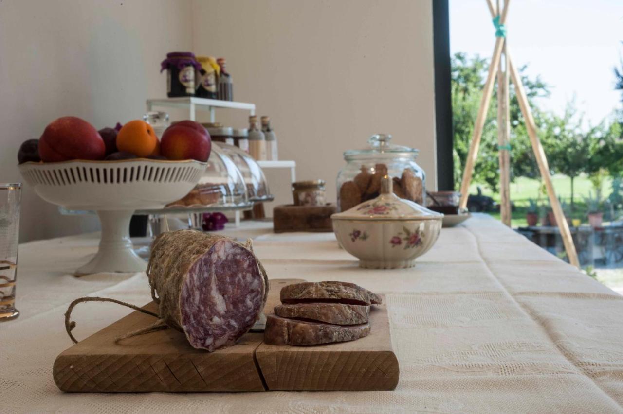Le Ferrerie Agriturismo Fattoria Marchesini Praticello di Gattatico 외부 사진